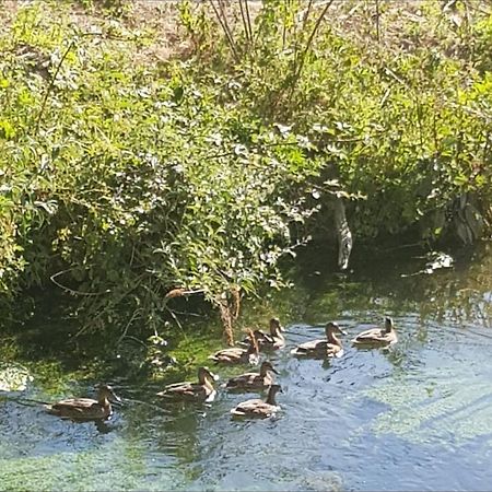 Les Gites De Ninon Moult Bagian luar foto