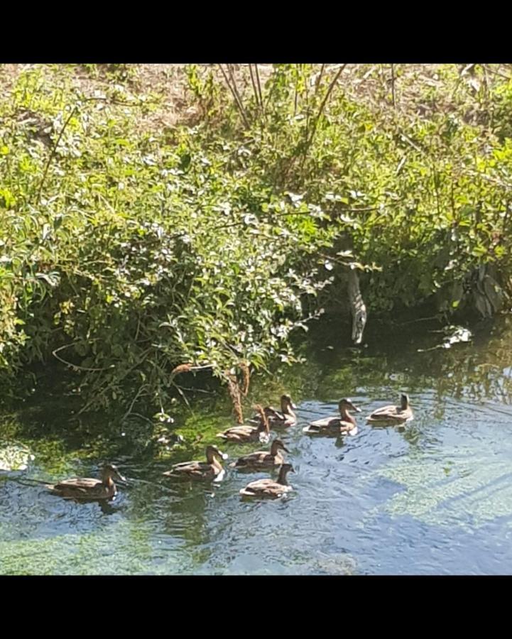 Les Gites De Ninon Moult Bagian luar foto